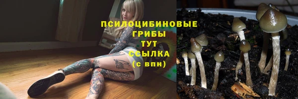 шишки Абинск