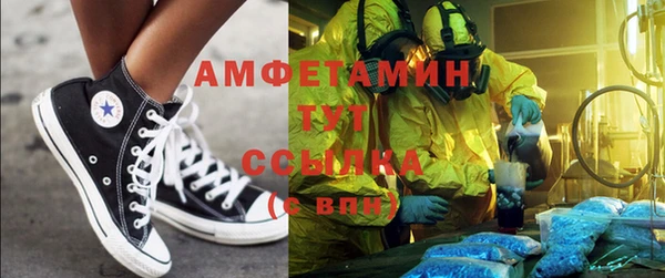 ПСИЛОЦИБИНОВЫЕ ГРИБЫ Алзамай