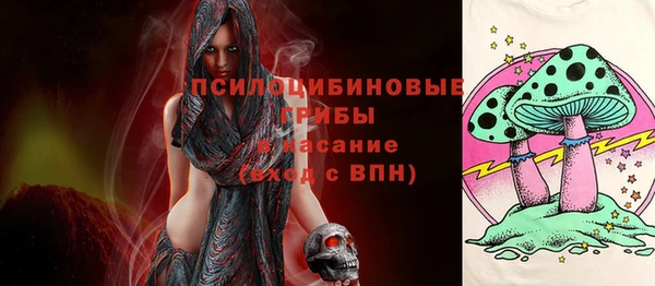 ПСИЛОЦИБИНОВЫЕ ГРИБЫ Алзамай