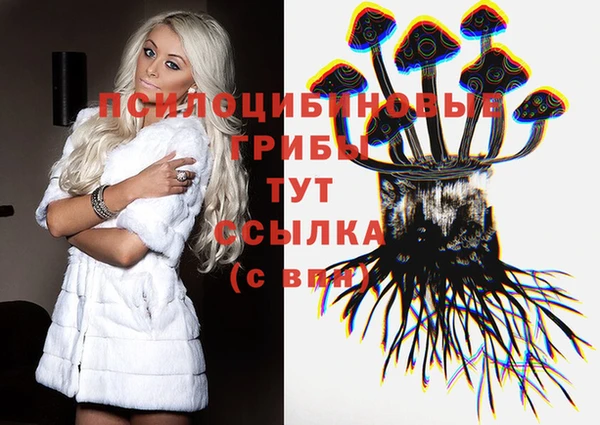 не бодяженный Алексин